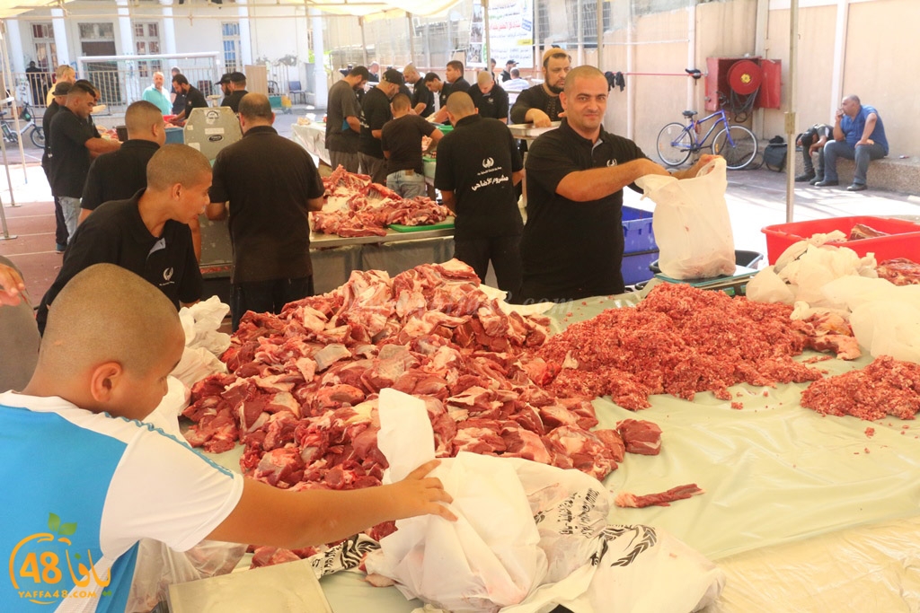 ada7y forthei (56).JPG